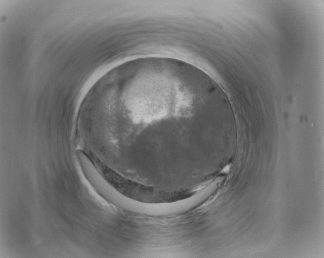 X0000073891536200609011640