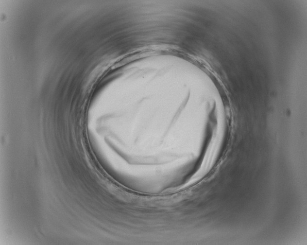 X0000073890001200609082134