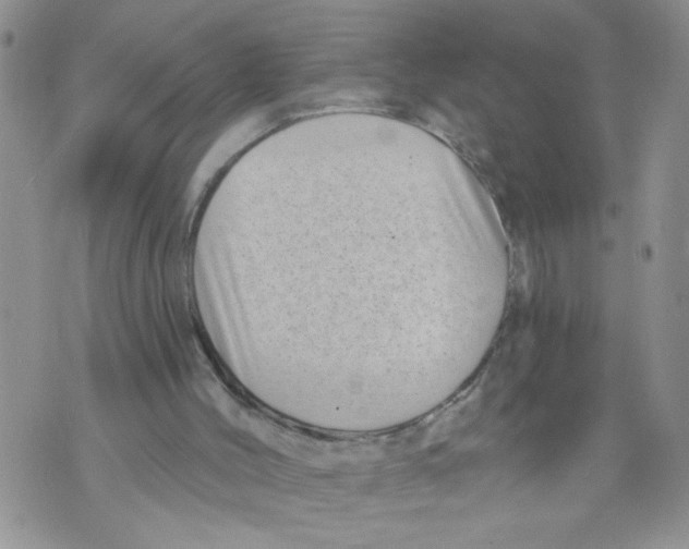 X0000073890004200609082134