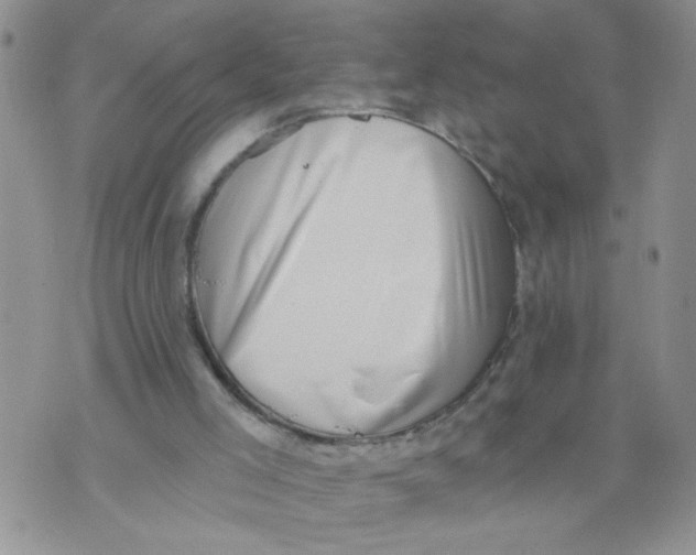 X0000073890005200609082134