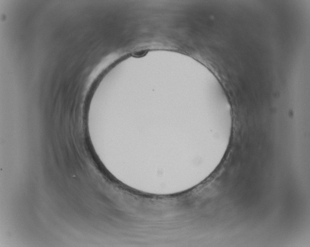 X0000073890008200609082134