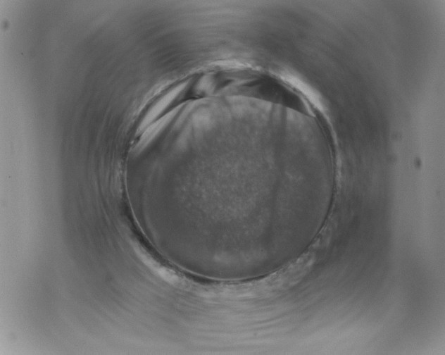 X0000073890009200609082134