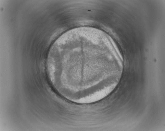 X0000073890010200609082134