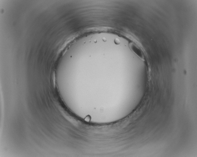 X0000073890013200609082134