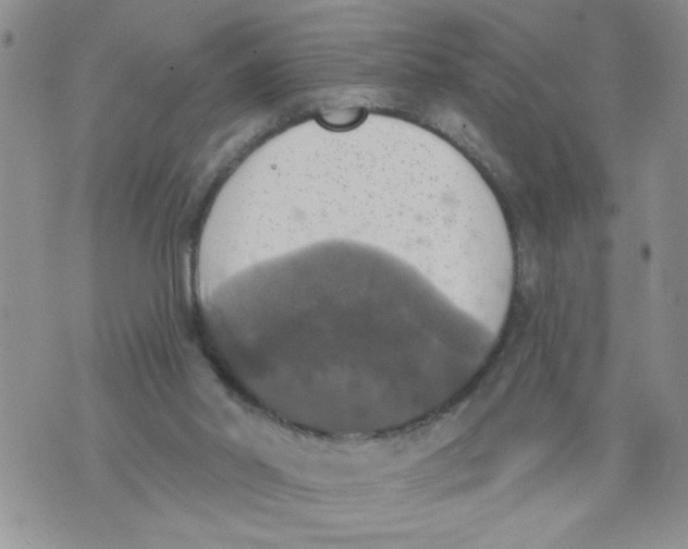 X0000073890014200609082134