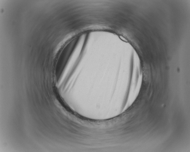 X0000073890015200609082134