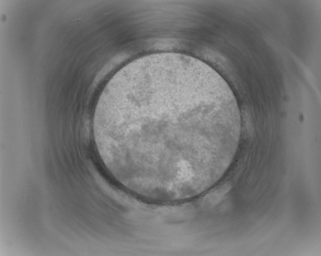 X0000073890016200609082134