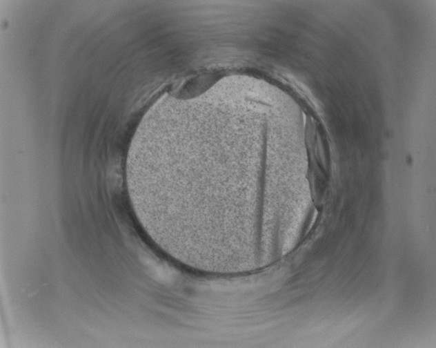 X0000073890017200609082134