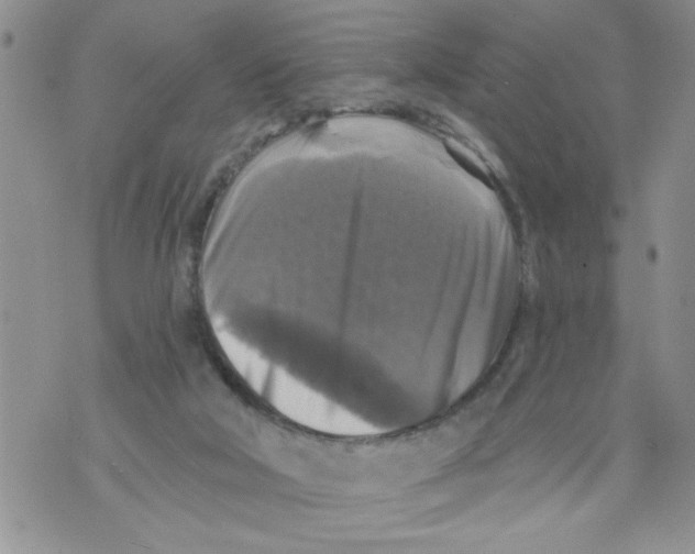 X0000073890018200609082134