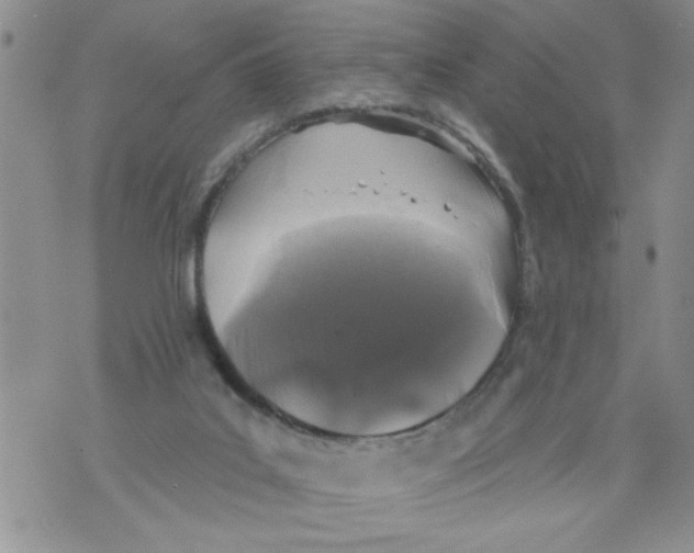 X0000073890019200609082134