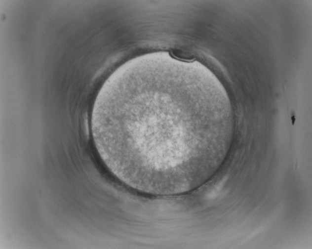 X0000073890020200609082134