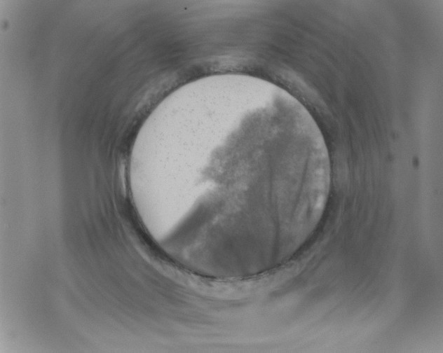 X0000073890022200609082134