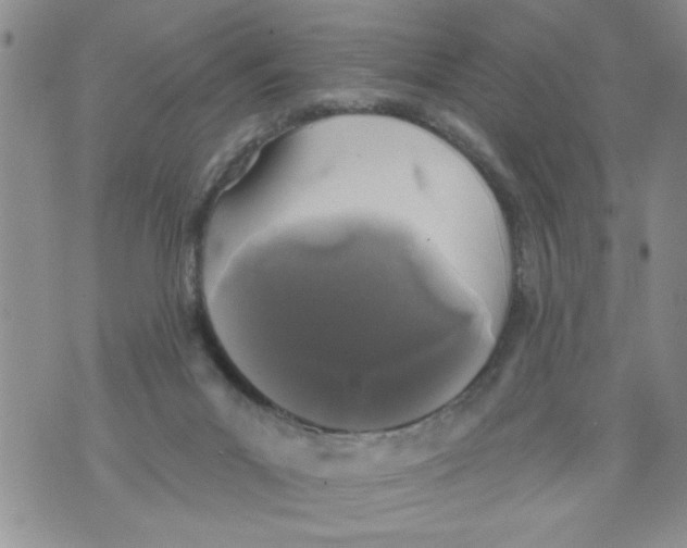 X0000073890023200609082134