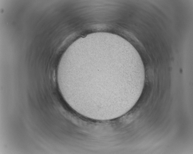 X0000073890024200609082134