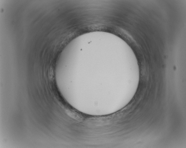 X0000073890025200609082134