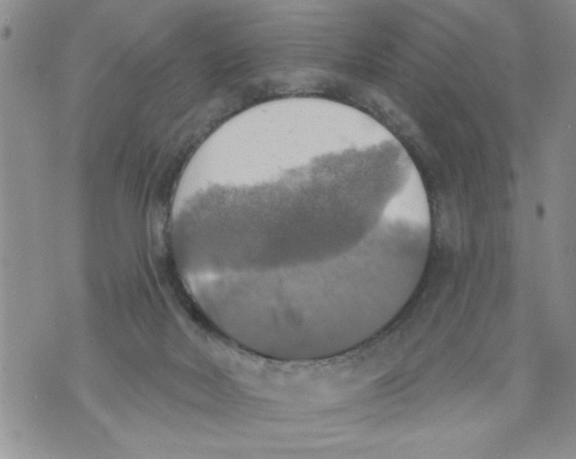 X0000073890026200609082134