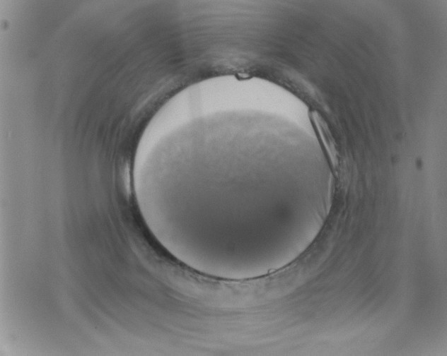 X0000073890027200609082134