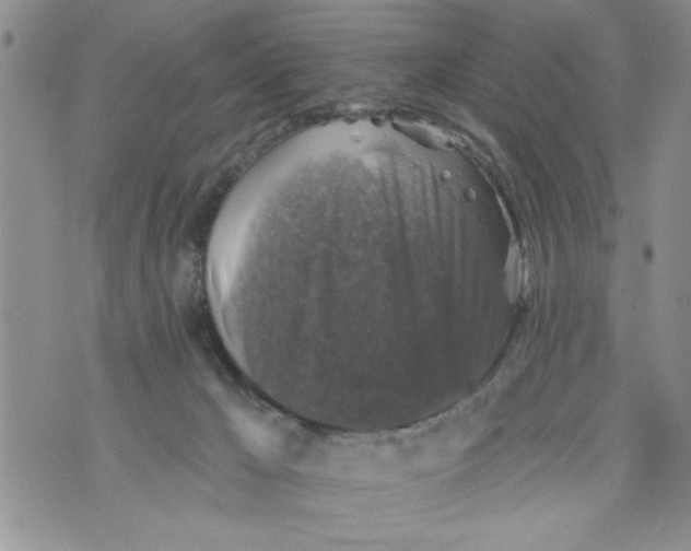 X0000073890029200609082134