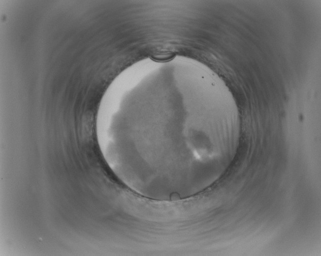 X0000073890030200609082134