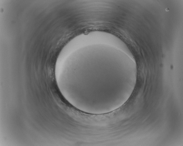 X0000073890031200609082134