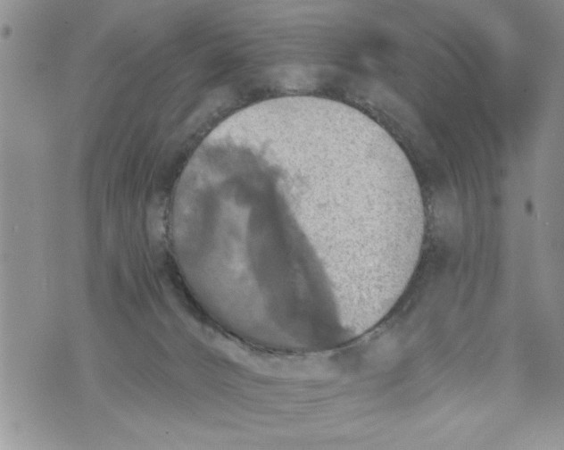 X0000073890032200609082134