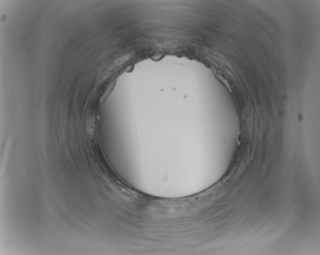 X0000073890033200609082134