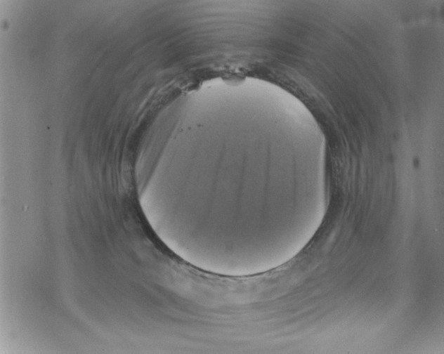 X0000073890035200609082134