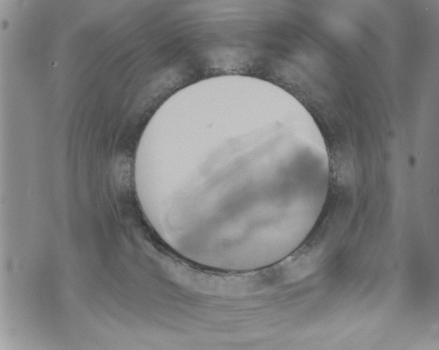 X0000073890036200609082134