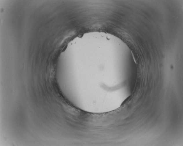 X0000073890037200609082134