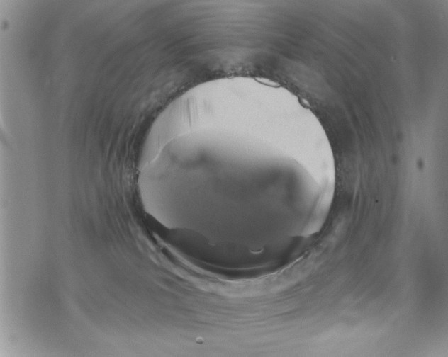 X0000073890039200609082134