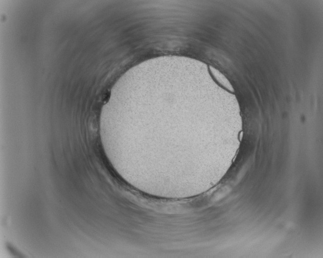 X0000073890040200609082134