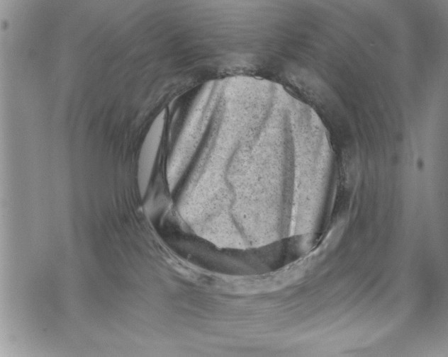 X0000073890041200609082134