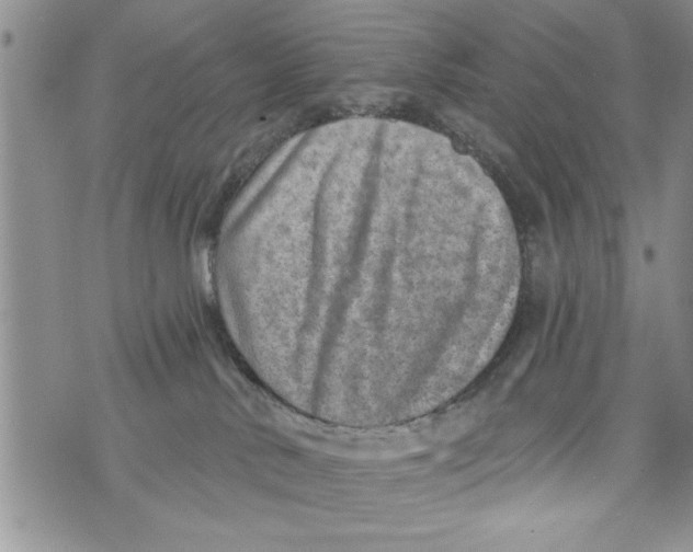 X0000073890042200609082134