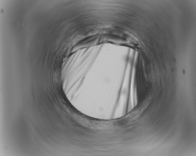 X0000073890044200609082134