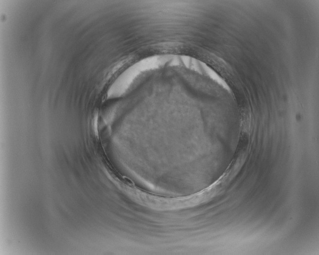 X0000073890047200609082134