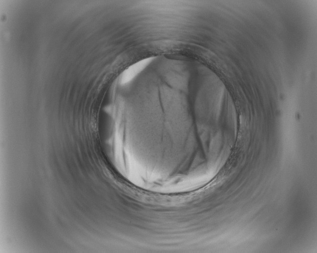 X0000073890048200609082134