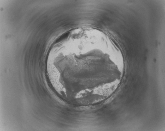 X0000073890049200609082133