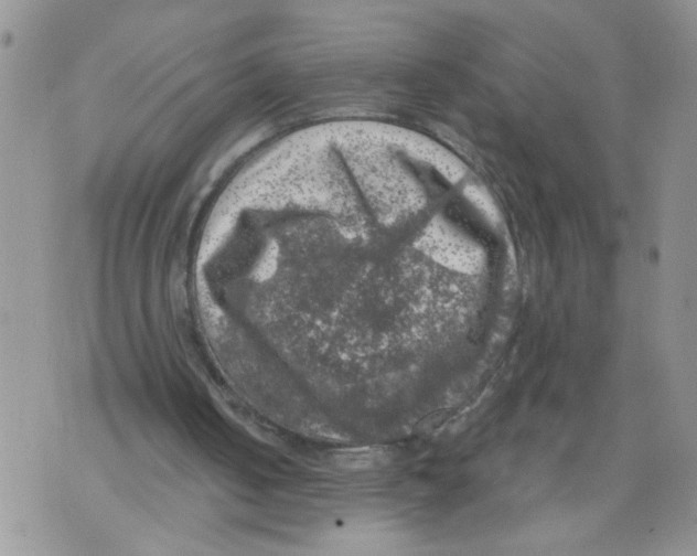 X0000073890050200609082133