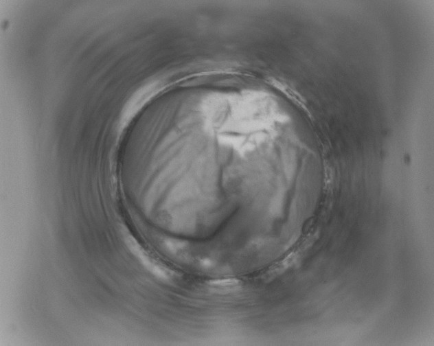 X0000073890053200609082133