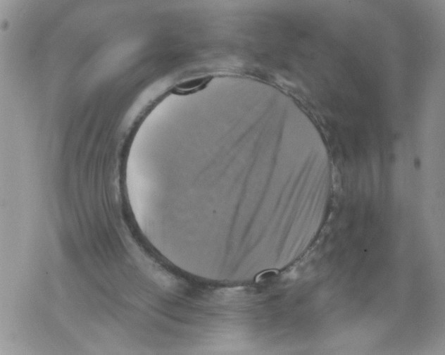 X0000073890054200609082133