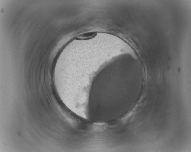 X0000073890055200609082133