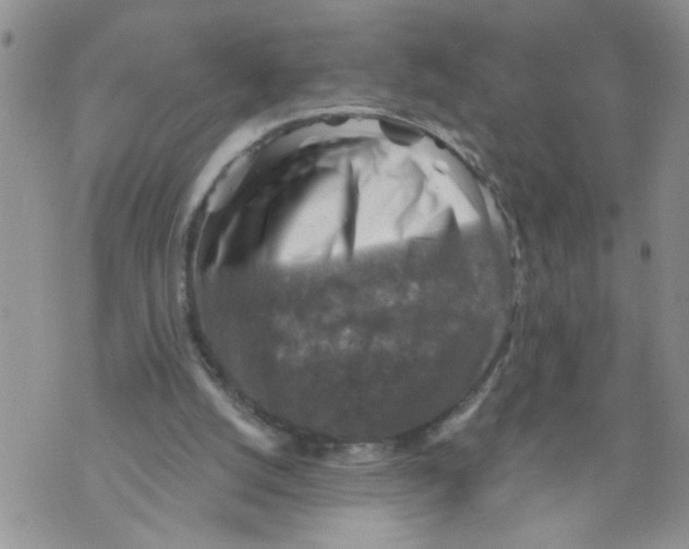 X0000073890056200609082133