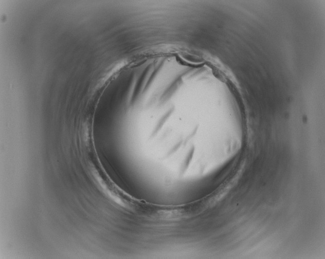 X0000073890057200609082133