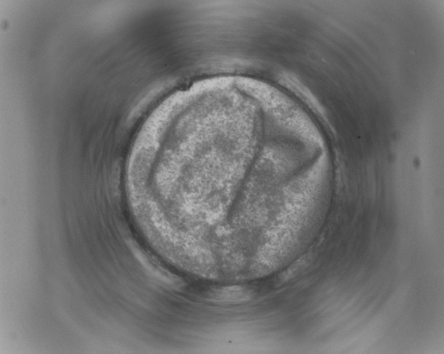 X0000073890058200609082133