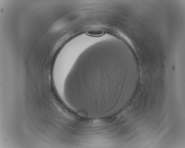 X0000073890059200609082133