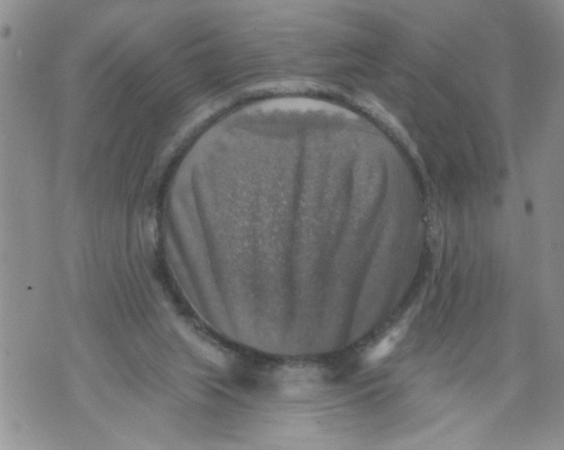 X0000073890063200609082133