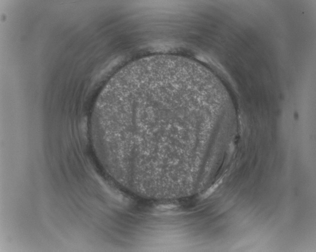 X0000073890066200609082133