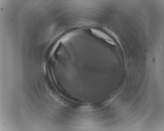 X0000073890067200609082133