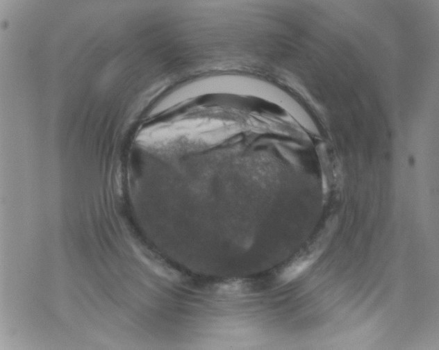 X0000073890068200609082133