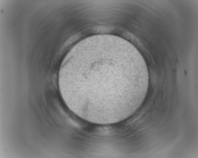 X0000073890071200609082133